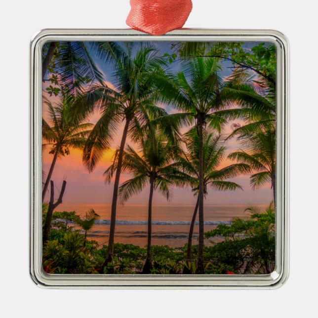 Tropical Beach | Corcovado National Park Metal Tree Decoration (Front)