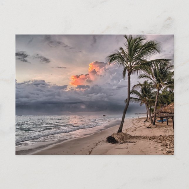 Tropical beach in the Caribbean Postcard (Front)