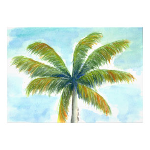 Tropical Beach palm tree on a sunny day Photo Print