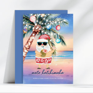 Tropical Beach Palm Tree Santa Christmas Holiday Card