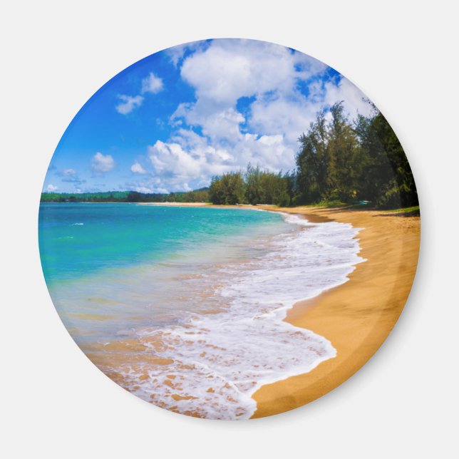 Tropical beach paradise, Hawaii Magnet (Front)