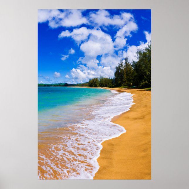 Tropical beach paradise, Hawaii Poster (Front)