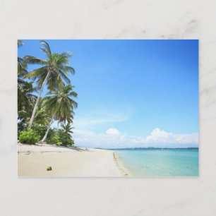 Tropical beach Postcard