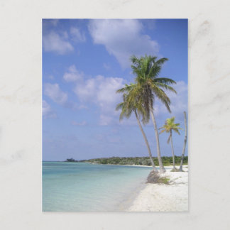 tropical beach postcard