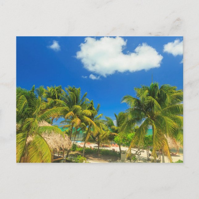 Tropical beach resort, Belise Postcard (Front)