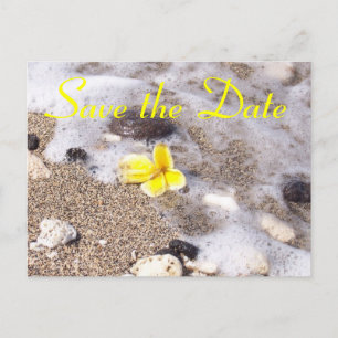 Tropical Beach Save the Date Plumeria Announcement Postcard