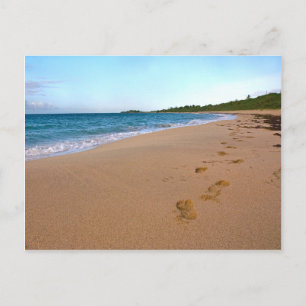 Tropical Beach Scene Postcard