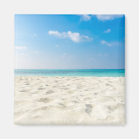 Tropical Beach Sea Sand Sky & Summer Day