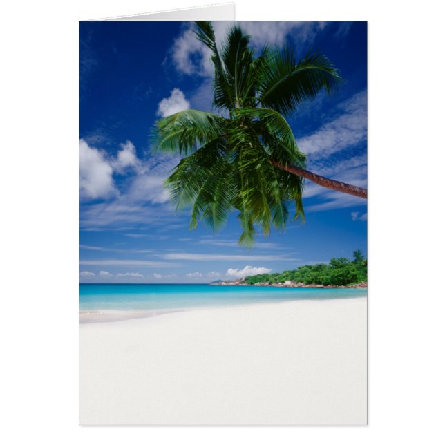 Tropical Beach | Seychelles (Front)