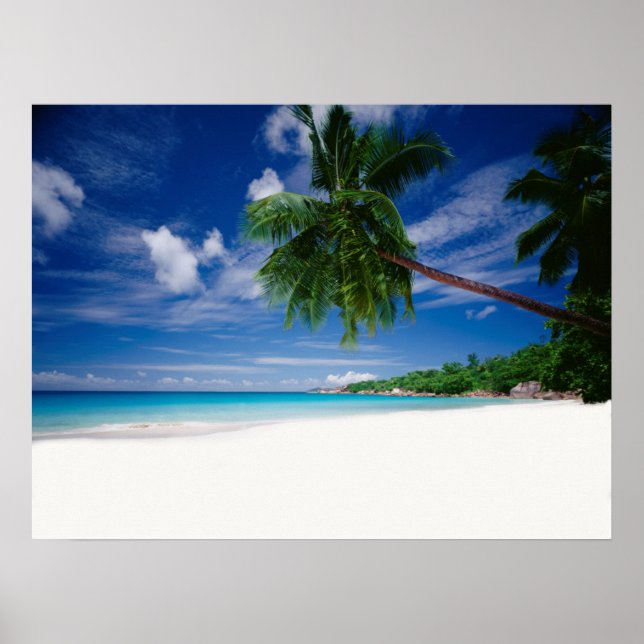 Tropical Beach | Seychelles Poster (Front)