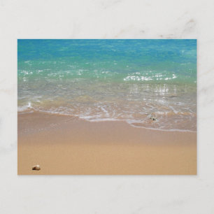 Tropical Beach - Waikiki, Oahu, Hawaii Postcard