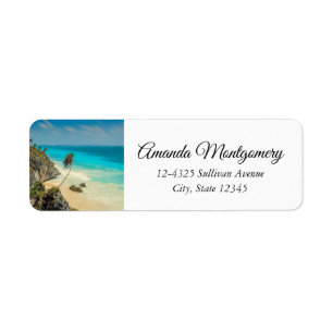 Tropical Beach with Wind Swept Palm Trees