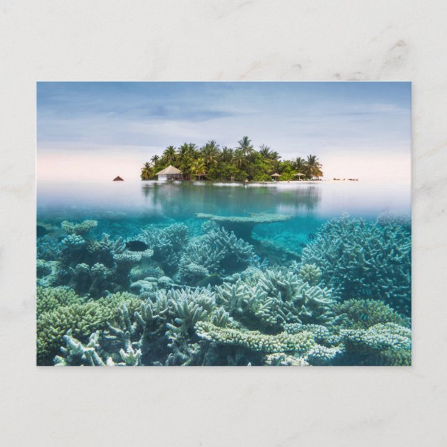 Tropical Beaches | Ari Atoll Maldives Postcard (Front)