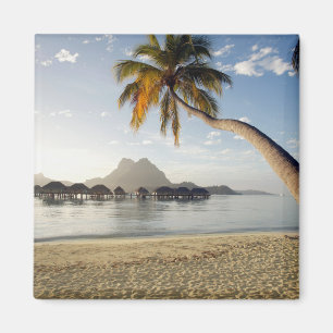 Tropical Beaches Beach Huts, Bora Bora Magnet