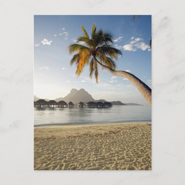 Tropical Beaches | Beach Huts, Bora Bora Postcard (Front)