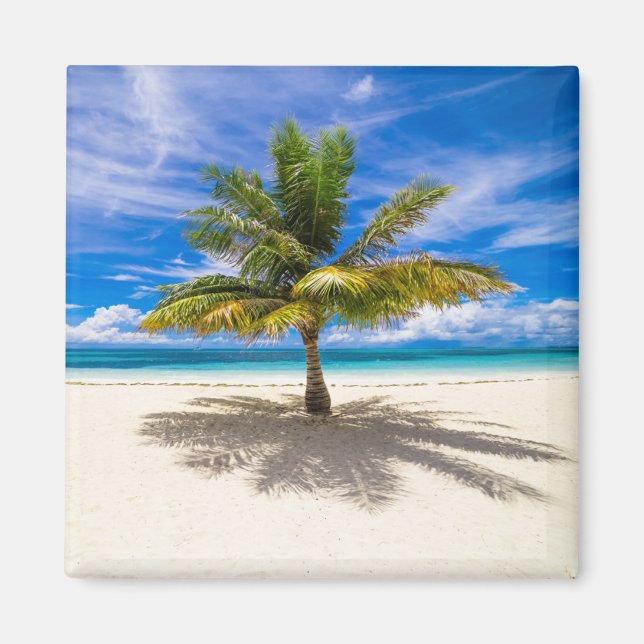 Tropical Beaches | Bora Bora, French Polynesia Magnet (Front)