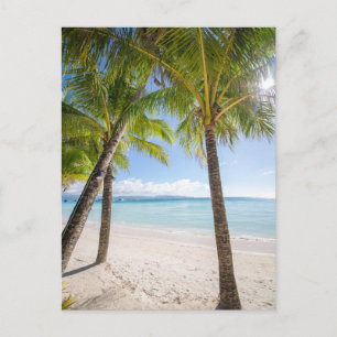 Tropical Beaches Boracay Philippines Postcard