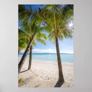 Tropical Beaches   Boracay Philippines Poster
