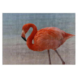 Tropical Beaches Caribbean Flamingo, Aruba Cutting Board