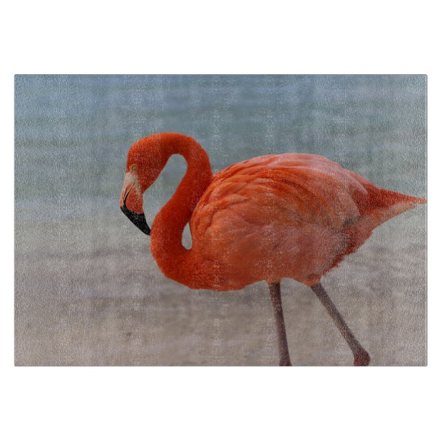 Tropical Beaches | Caribbean Flamingo, Aruba Cutting Board (Front)