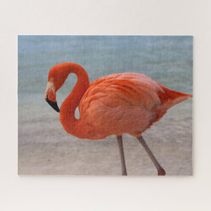 Tropical Beaches   Caribbean Flamingo, Aruba Jigsaw Puzzle