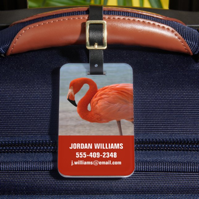 Tropical Beaches | Caribbean Flamingo, Aruba Luggage Tag (Front Insitu 2)