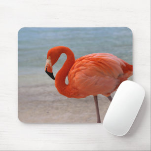 Tropical Beaches Caribbean Flamingo, Aruba Mouse Pad