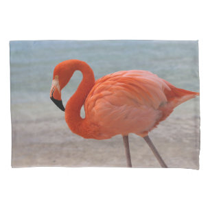 Tropical Beaches   Caribbean Flamingo, Aruba Pillowcase