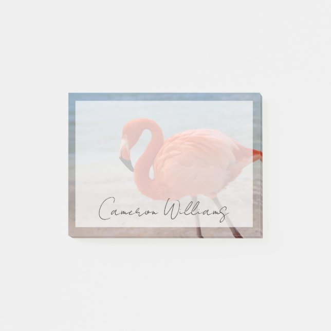 Tropical Beaches | Caribbean Flamingo, Aruba Post-it Notes (Front)