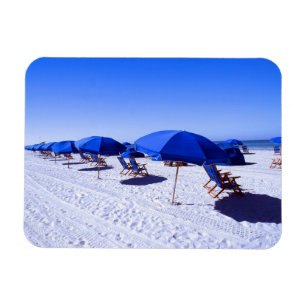 Tropical Beaches   Clearwater, Florida Magnet