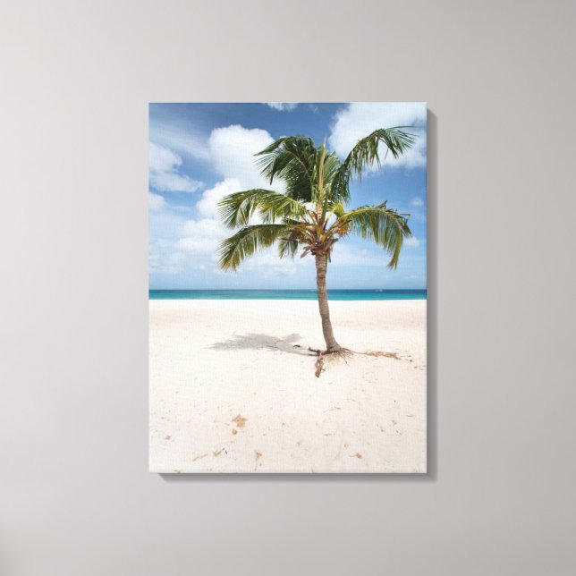 Tropical Beaches | Eagle Beach, Aruba Canvas Print (Front)