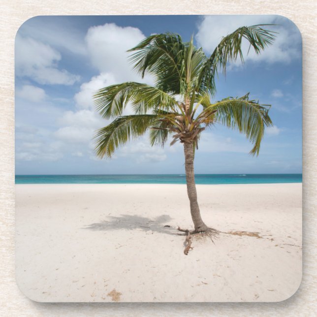 Tropical Beaches | Eagle Beach, Aruba Coaster (Front)
