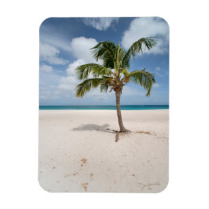 Tropical Beaches   Eagle Beach, Aruba Magnet