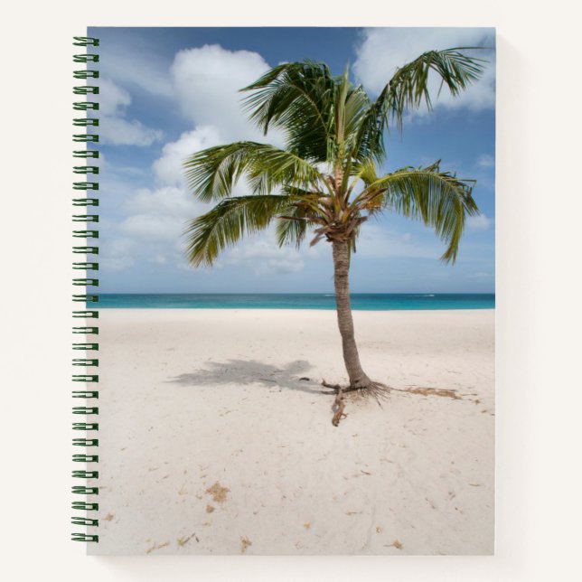 Tropical Beaches | Eagle Beach, Aruba Notebook (Front)