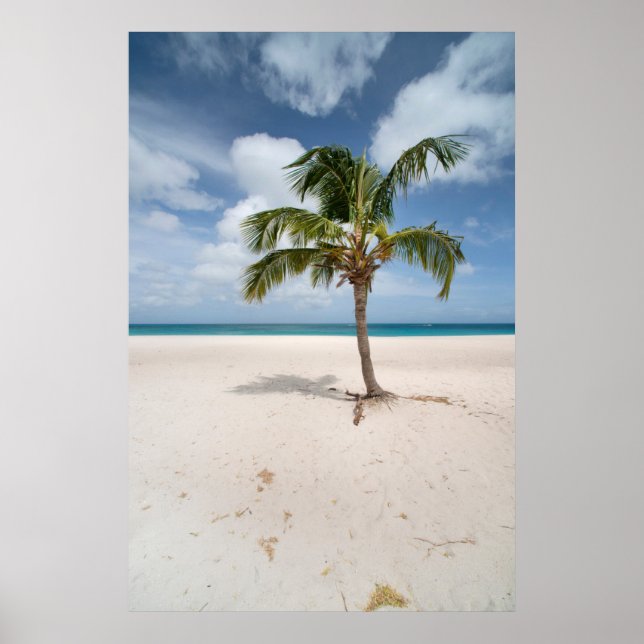 Tropical Beaches | Eagle Beach, Aruba Poster (Front)