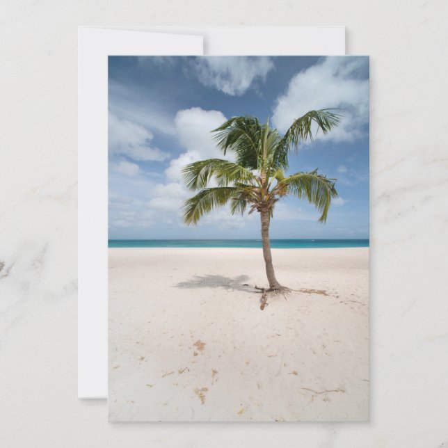 Tropical Beaches | Eagle Beach, Aruba Thank You Card (Front)