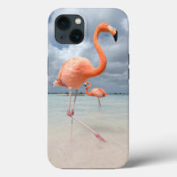 Tropical Beaches | Flamingos Beach, Aruba