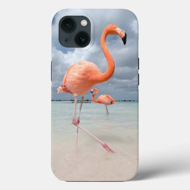 Tropical Beaches | Flamingos Beach, Aruba Case-Mate iPhone Case (Back)