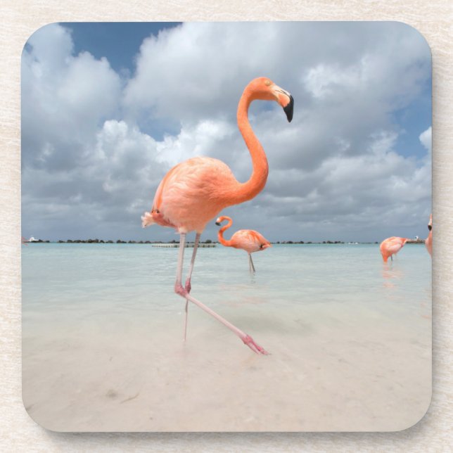 Tropical Beaches | Flamingos Beach, Aruba Coaster (Front)
