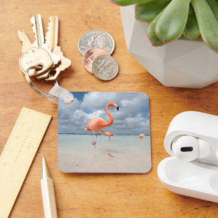 Tropical Beaches Flamingos Beach, Aruba Key Ring