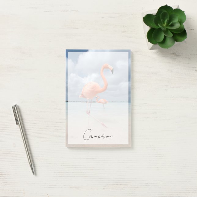Tropical Beaches | Flamingos Beach, Aruba Post-it Notes (Office)