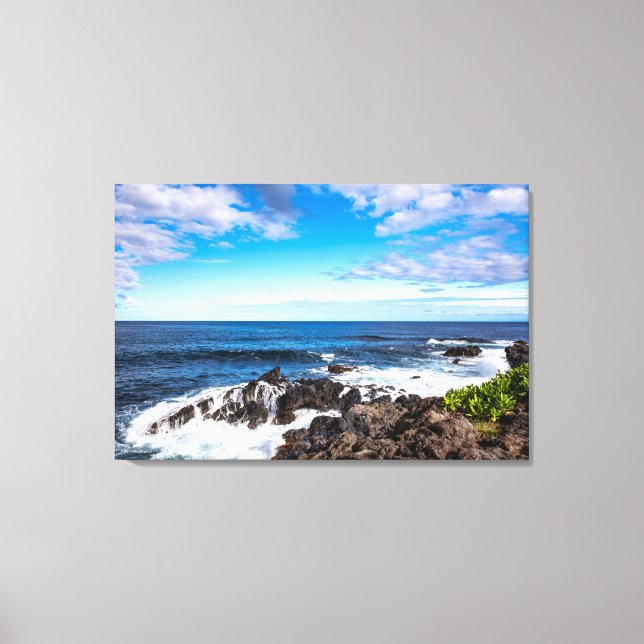 Tropical Beaches | Haleakala National Park Maui Canvas Print (Front)