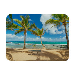 Tropical Beaches   Kuau Cove Beach, Maui Hawaii Magnet