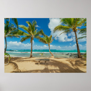 Tropical Beaches   Kuau Cove Beach, Maui Hawaii Poster