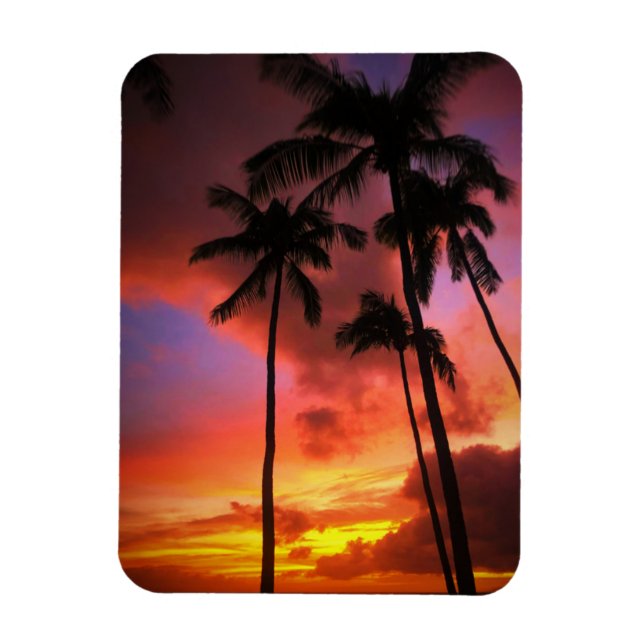 Tropical Beaches | Maui Hawaii Islands Magnet (Vertical)