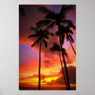 Tropical Beaches   Maui Hawaii Islands Poster