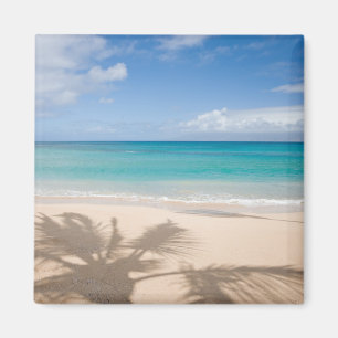 Tropical Beaches Maui, Hawaii Magnet