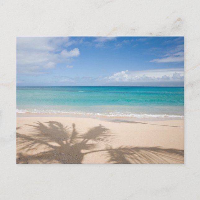 Tropical Beaches | Maui, Hawaii Postcard (Front)