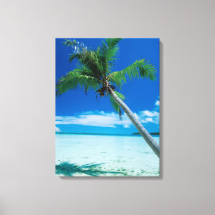 Tropical Beaches   Motu Tofari Beach, Bora Bora Canvas Print