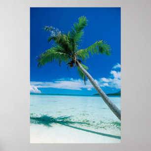 Tropical Beaches Motu Tofari Beach, Bora Bora Poster